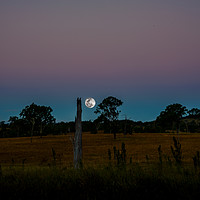 Buy canvas prints of Moonrise Out At Boonah by Shaun Carling