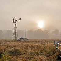 Buy canvas prints of Misty Outback Morning by Shaun Carling