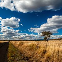 Buy canvas prints of Out On The Western Downs by Shaun Carling