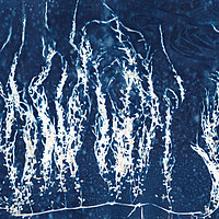 Buy canvas prints of Blue seaweed by Eileen Wilkinson ARPS EFIAP