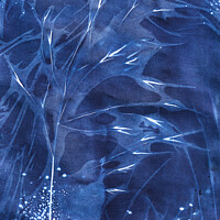 Buy canvas prints of Midnight Blue  by Eileen Wilkinson ARPS EFIAP