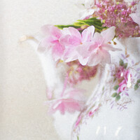 Buy canvas prints of In the Pink by Eileen Wilkinson ARPS EFIAP