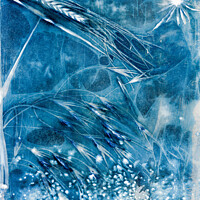 Buy canvas prints of Fairy Blue by Eileen Wilkinson ARPS EFIAP