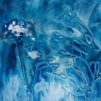 Buy canvas prints of In the Blue by Eileen Wilkinson ARPS EFIAP