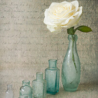 Buy canvas prints of Vintage bottles with white rose by Eileen Wilkinson ARPS EFIAP