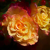 Buy canvas prints of Painterly Roses by Eileen Wilkinson ARPS EFIAP
