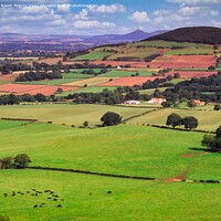 Buy canvas prints of North Yorkshire Countryside, England by Navin Mistry