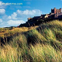 Buy canvas prints of A view of Bamburgh Castle and the sand dunes, Northumberland by Navin Mistry