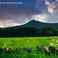 Buy canvas prints of A panoramic image of Bennachie, Aberdeenshire by Navin Mistry