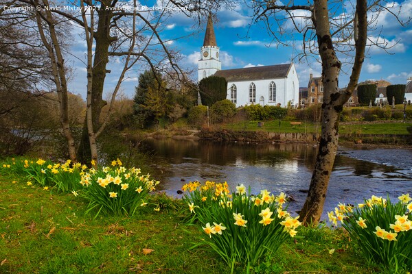 The White Church, Comrie, Perthshire in Spring Picture Board by Navin Mistry