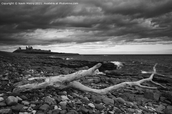 Driftwood at Embleton Bay looking towards Dunstanb Picture Board by Navin Mistry