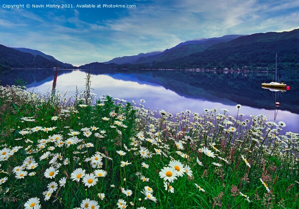 Loch Earn  Perthshire, Scotland Picture Board by Navin Mistry