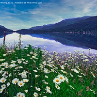 Buy canvas prints of Loch Earn  Perthshire, Scotland by Navin Mistry