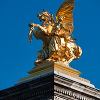 Buy canvas prints of A Statue on the Pont Alexandre III Paris, France by Navin Mistry