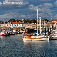 Buy canvas prints of Anstruther Harbour Panoramic  by Navin Mistry