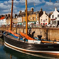 Buy canvas prints of The Reaper in Anstruther Harbour by Navin Mistry