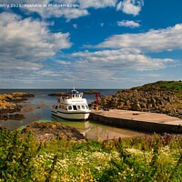Buy canvas prints of The Isle of May Princess, Isle of May by Navin Mistry