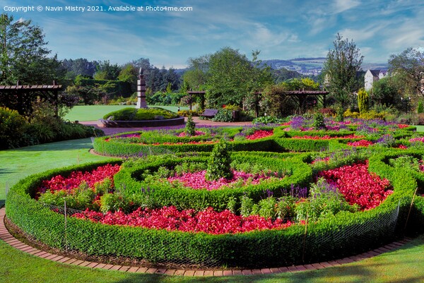 The Rodney Gardens, Perth, Scotland Picture Board by Navin Mistry