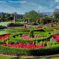 Buy canvas prints of The Rodney Gardens, Perth, Scotland by Navin Mistry