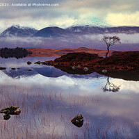Buy canvas prints of Reflection of lone tree on Rannoch Moor, Scotland by Navin Mistry