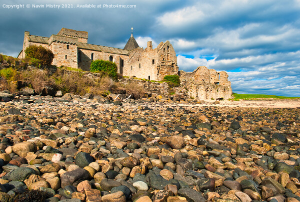 Inchcolm Abbey, Incolm Island, Firth of Forth Picture Board by Navin Mistry