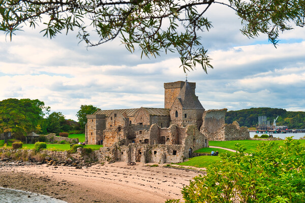 Inchcolm Abbey, Incolm Island, Firth of Forth Picture Board by Navin Mistry