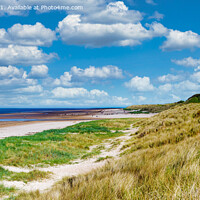 Buy canvas prints of Bamburgh Castle and Sand Dunes by Navin Mistry
