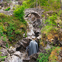 Buy canvas prints of The Falls of Bruar, Blair Atholl, near Pitlochry by Navin Mistry