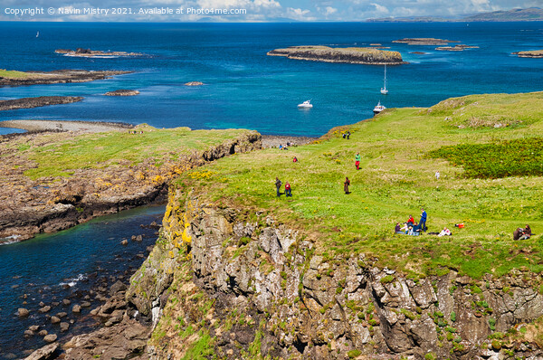 The Treshnish Isles, Inner Hebrides, Scotland Picture Board by Navin Mistry