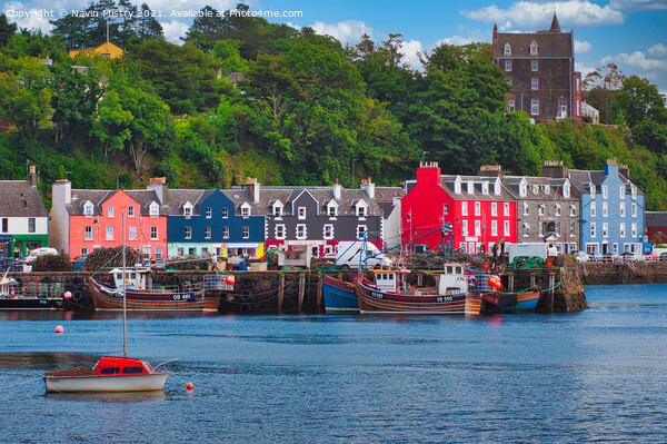 Tobermory Harbour, Isle of Mull, Scotland  Picture Board by Navin Mistry
