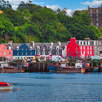 Buy canvas prints of Tobermory Harbour, Isle of Mull, Scotland  by Navin Mistry