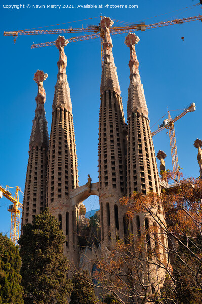 Sagrada Família, Barcelona, Spain Picture Board by Navin Mistry