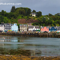 Buy canvas prints of Tobermory, Isle of Mull, Scotland  by Navin Mistry