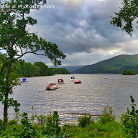 Buy canvas prints of Loch Earn at St Fillans Panorama  by Navin Mistry