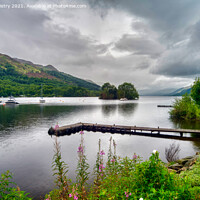 Buy canvas prints of A view of Loch Earn Perthshire  by Navin Mistry