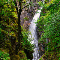 Buy canvas prints of The Grey Mare's Tail Waterfall Kinlochleven by Navin Mistry