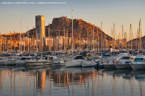 Alicante Marina and the Castle of Santa Barbara Picture Board by Navin Mistry