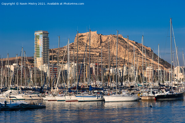 Alicante Marina and the Castle of Santa Barbara Picture Board by Navin Mistry
