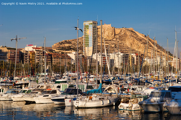 Alicante Harbour and the Castle of Santa Barbara Picture Board by Navin Mistry