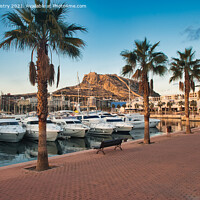 Buy canvas prints of A view of Alicante Marina and the Castle of Santa Barbara by Navin Mistry