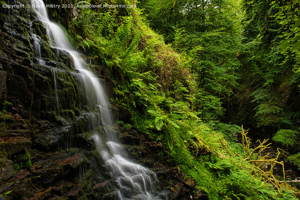 The Falls of Moness, The Birks of Aberfeldy, Perthshire Picture Board by Navin Mistry