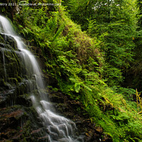 Buy canvas prints of The Falls of Moness, The Birks of Aberfeldy, Perthshire by Navin Mistry