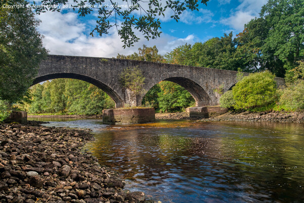 Bridge across the River Tummel,  Kinloch Rannoch, Perthshire Picture Board by Navin Mistry