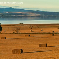 Buy canvas prints of Autumn Haybales and the River Tay, near Newburgh, Fife by Navin Mistry