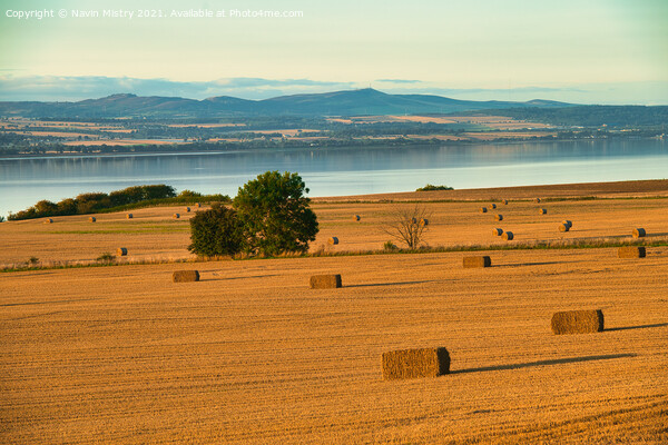 Autumn Haybales and the River Tay, near Newburgh, Fife Picture Board by Navin Mistry
