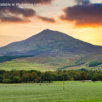 Buy canvas prints of A view of Schiehallion (Munro 1083m)  Perthshire,  by Navin Mistry