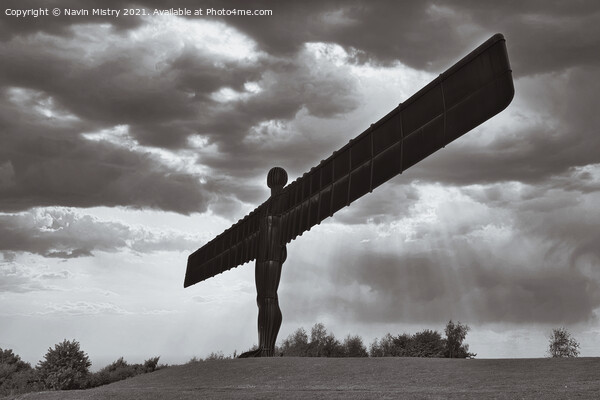 The Angel of the North, Gateshead Picture Board by Navin Mistry