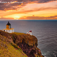 Buy canvas prints of Sunrise at St Abb's Head  by Navin Mistry