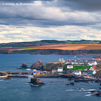 Buy canvas prints of A view of St Abbs at dusk by Navin Mistry