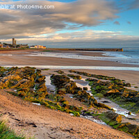 Buy canvas prints of East Sands  St Andrews, Fife, Scotland by Navin Mistry